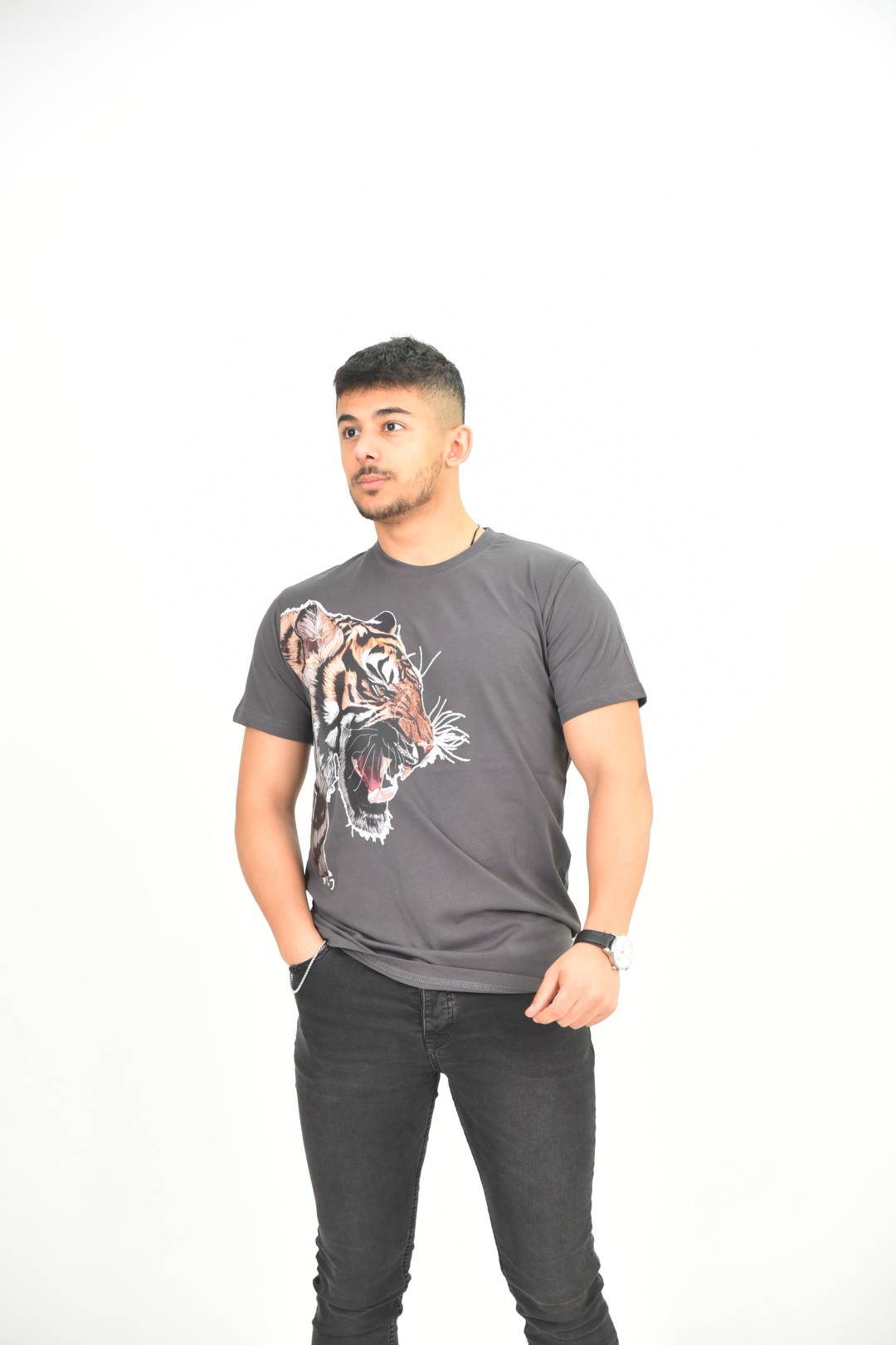 Larmina giyim Bisiklet yaka kaplan baskılı gri T-Shirt